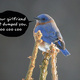 Illustration for article titled AudioFeeds Alerts Deliver Social Media Updates with Soothing 3D Sounds